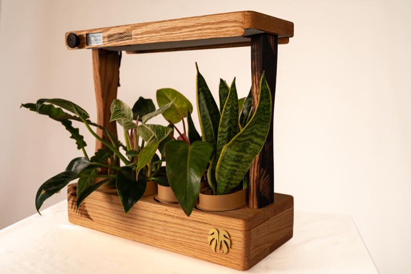 Aera product shot