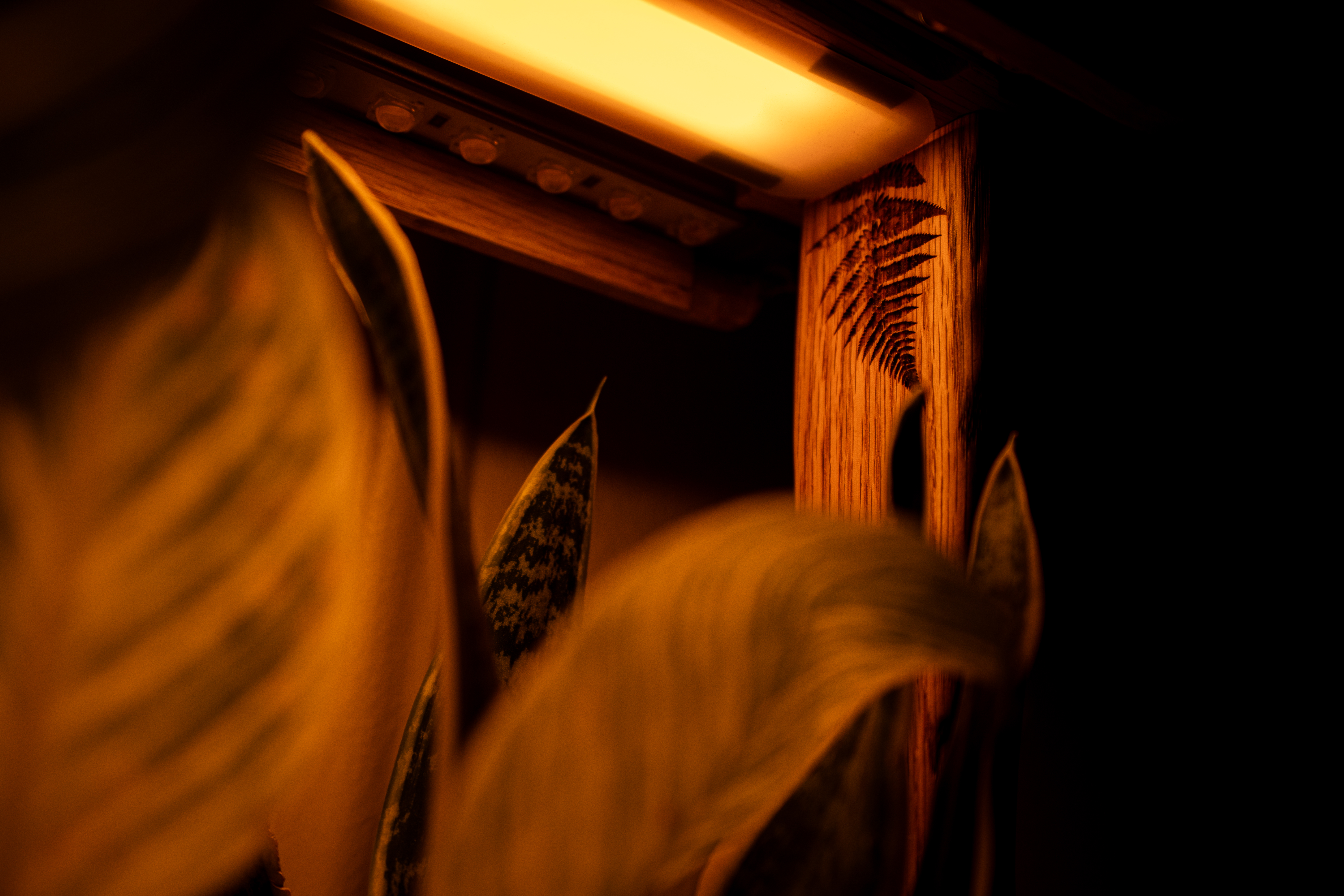 Aera crafted details