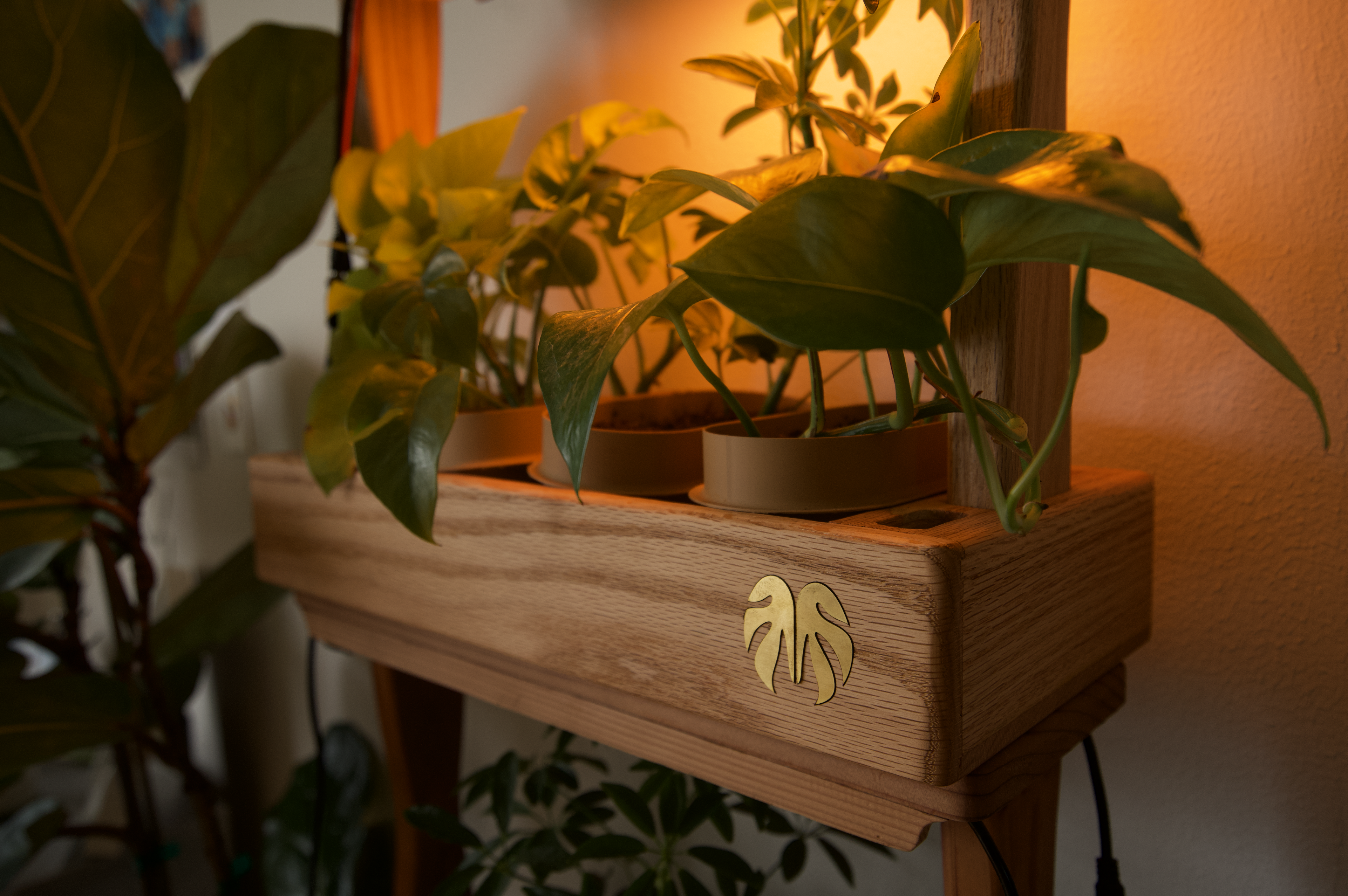 Brass Monstera leaf inlaid into solid oak